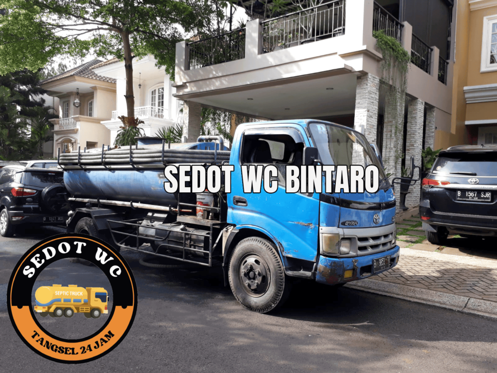 Sedot Wc Bintaro